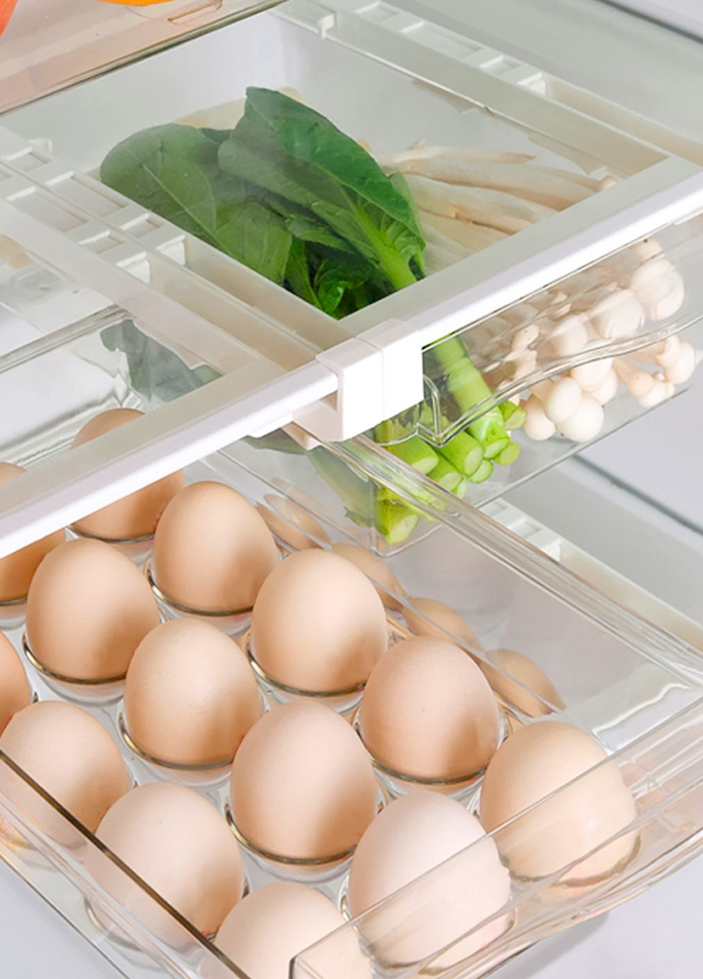 Контейнер подвесной для яиц в холодильник, 30х20х9,5 см MVM (272967370)