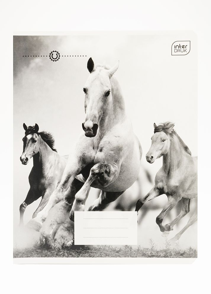 Зошит в клітинку 12 аркушів HORSES колір різнокольоровий ЦБ-00226907 Interdruk (260451365)