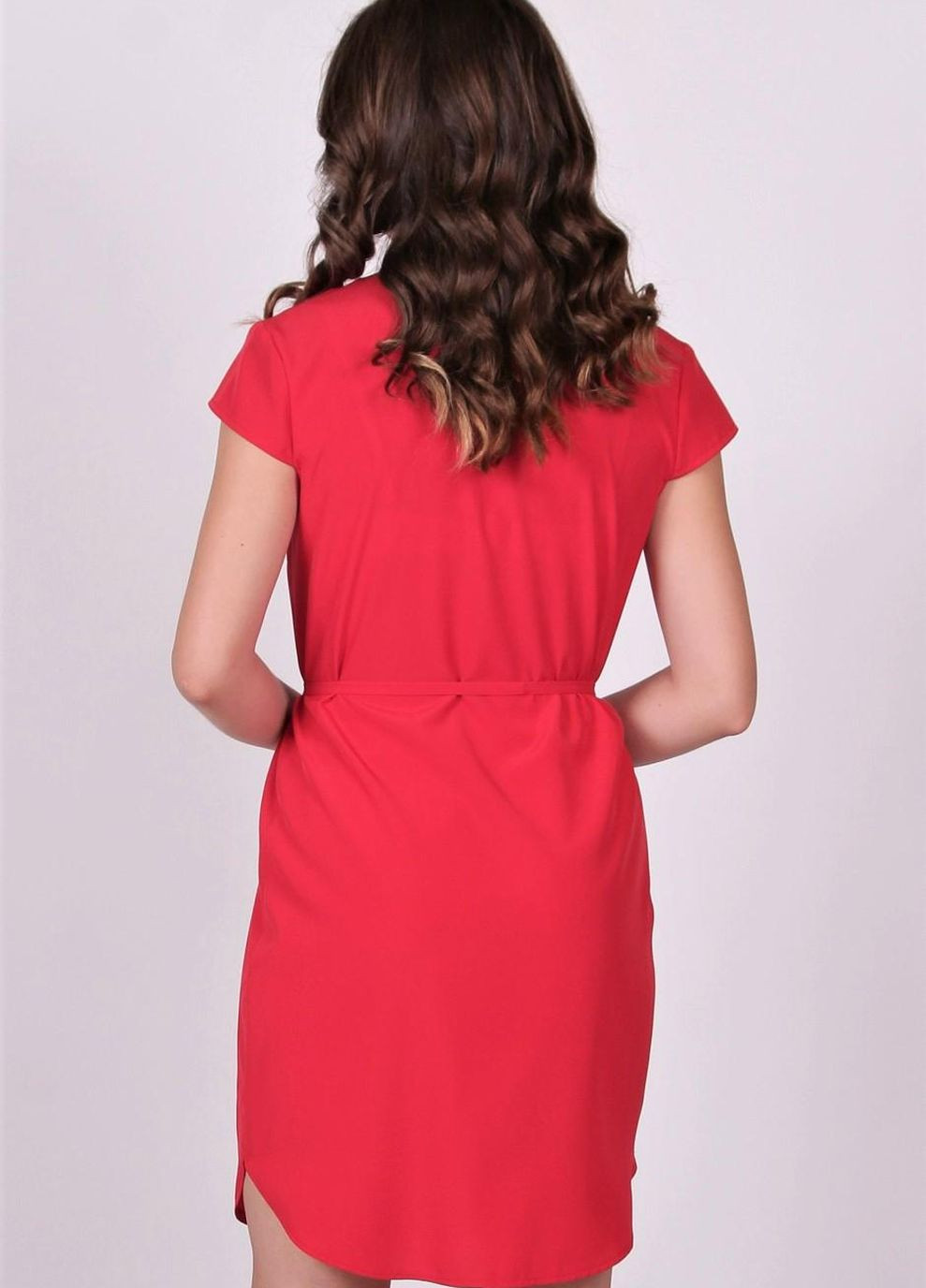 Червона кежуал сукня жіноча 004 однотонний софт червоний Актуаль