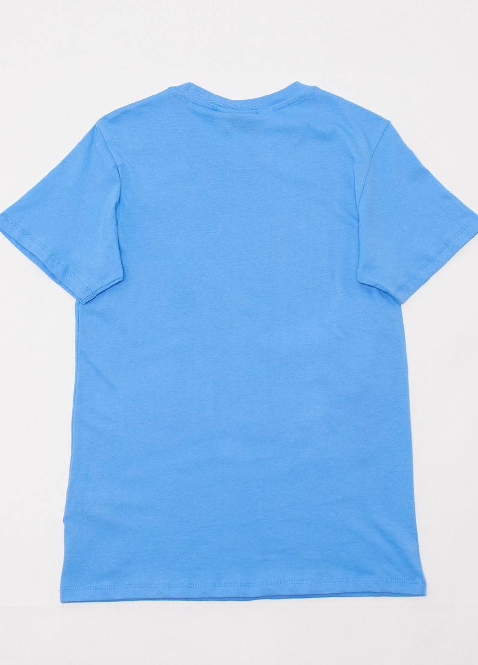 Голубая футболка,голубой с принтом, Wesc