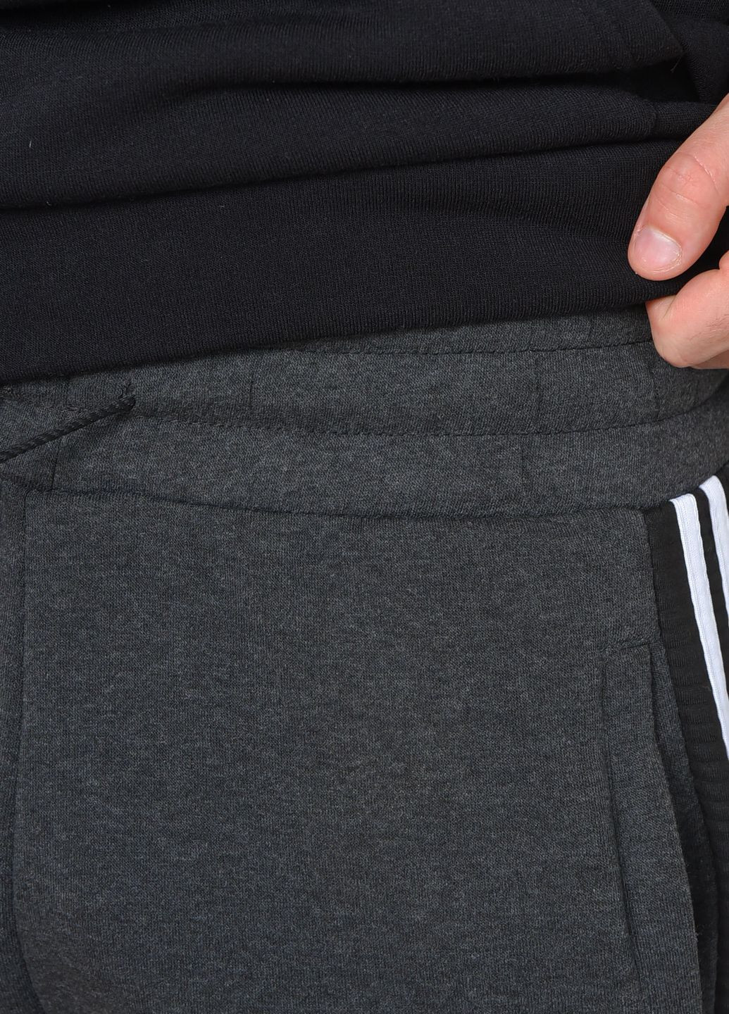 Спортивні штани чоловічі на флісі темно-сірого кольору Let's Shop (264826401)