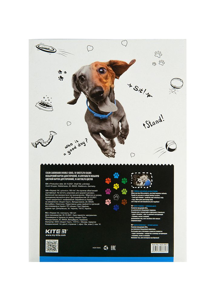 Картон цветной двухсторонний 10 листов Dogs цвет разноцветный ЦБ-00223057 Kite (260510109)