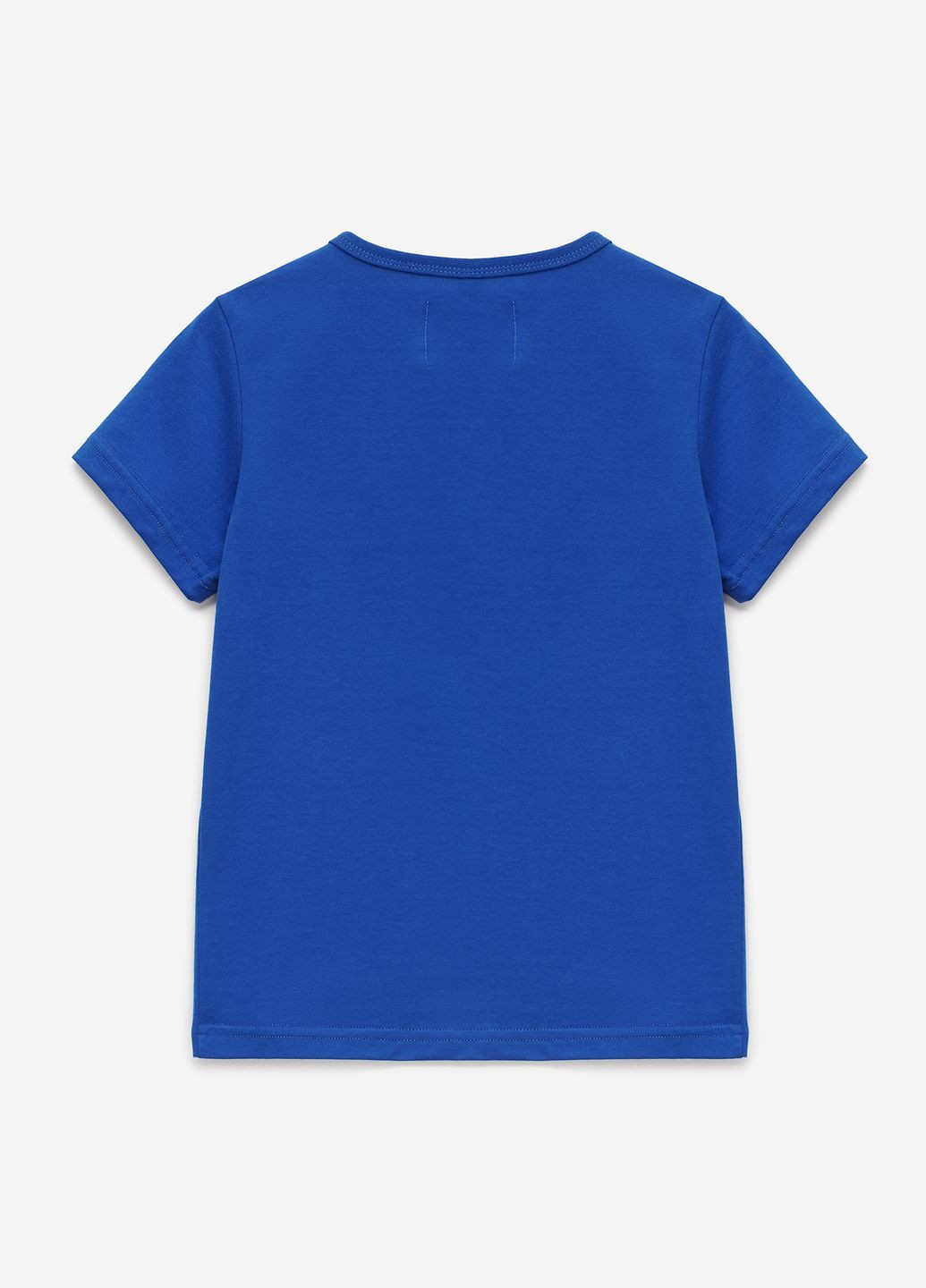 Синяя демисезонная футболка Bravery