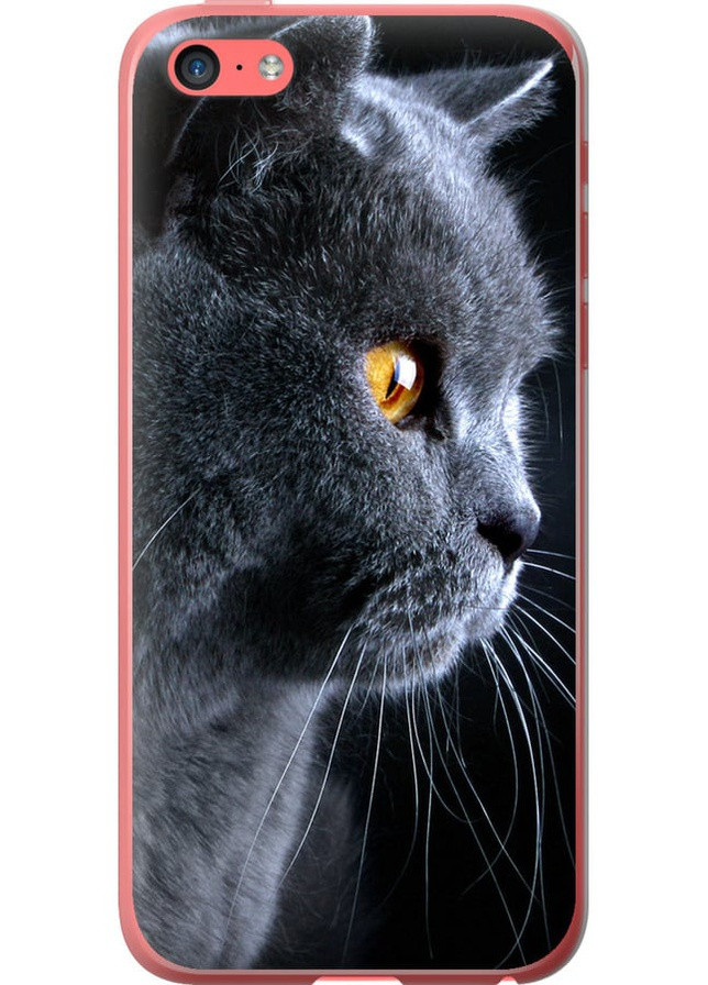 2D пластиковый чехол 'Красивый кот' для Endorphone apple iphone 5c (257834253)