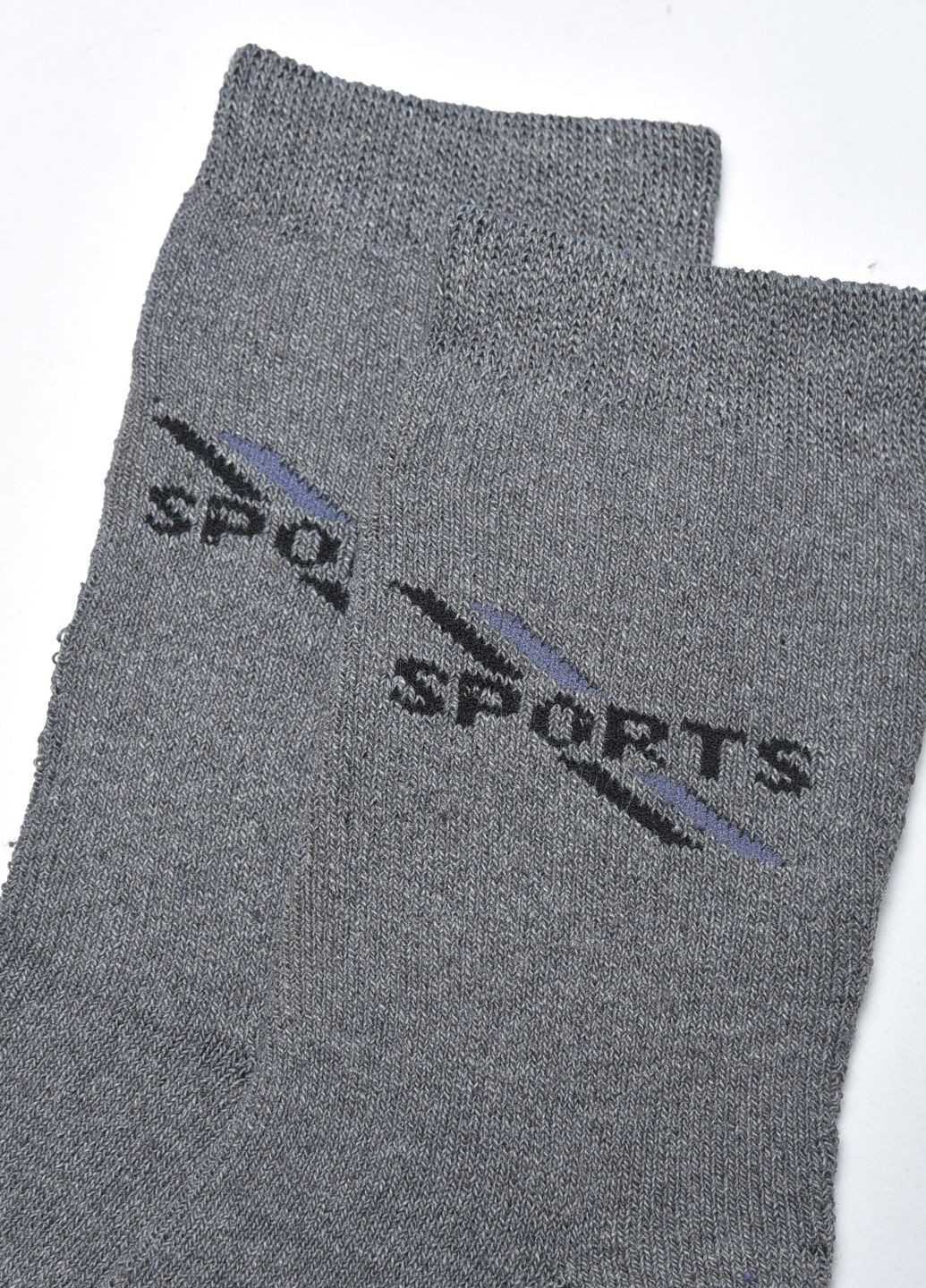 Шкарпетки чоловічі махрові сірого кольору розмір 40-45 Let's Shop (267167087)