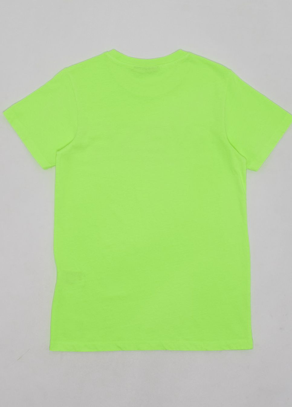 Салатовая футболка basic,салатовый с принтом, Wesc