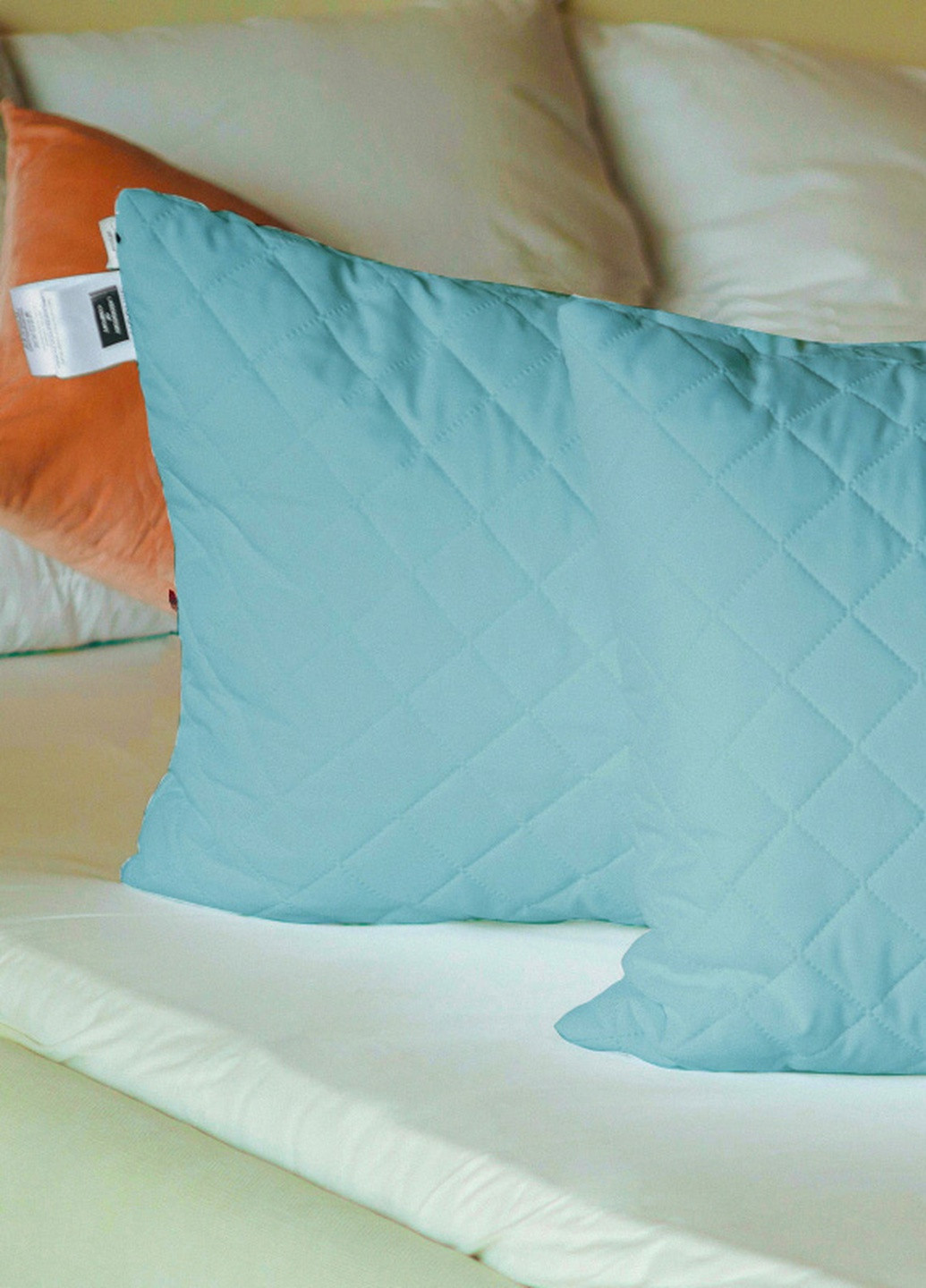 Набор антиаллергенных подушек Eco-Soft №1619 Eco Light Blue средние 50х70 2 шт (2200002652117) Mirson (258822123)