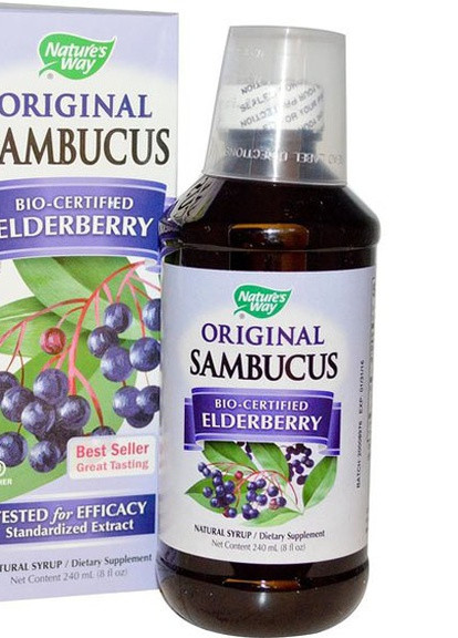 Sambucus Immune Elderberry Standardized 8 fl oz 240 ml Elderberry Nature's Way (257252252)