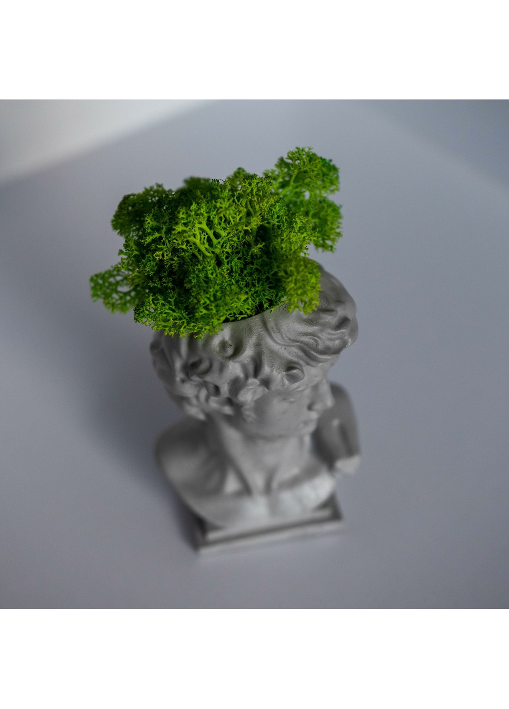 Кашпо Давид з світло-зеленим мохом, сірий Trensi (258330523)