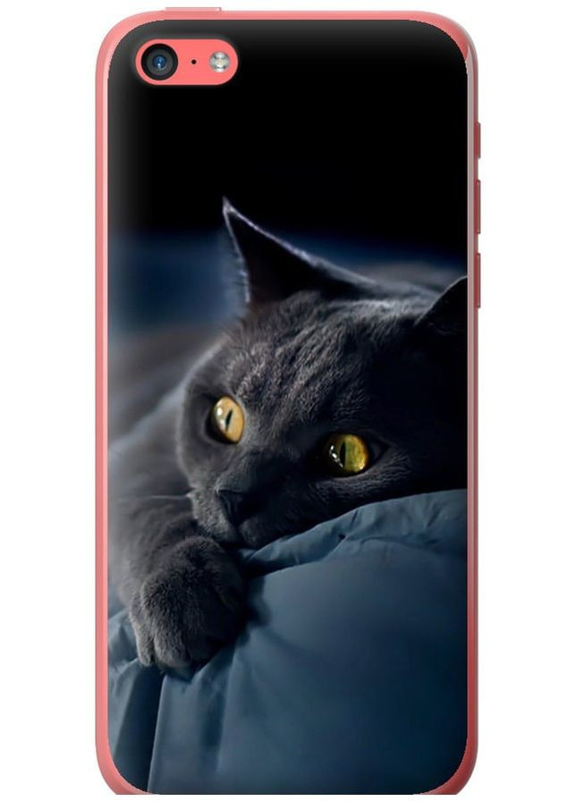 2D пластиковий чохол 'Димчастий кіт' для Endorphone apple iphone 5c (265226935)