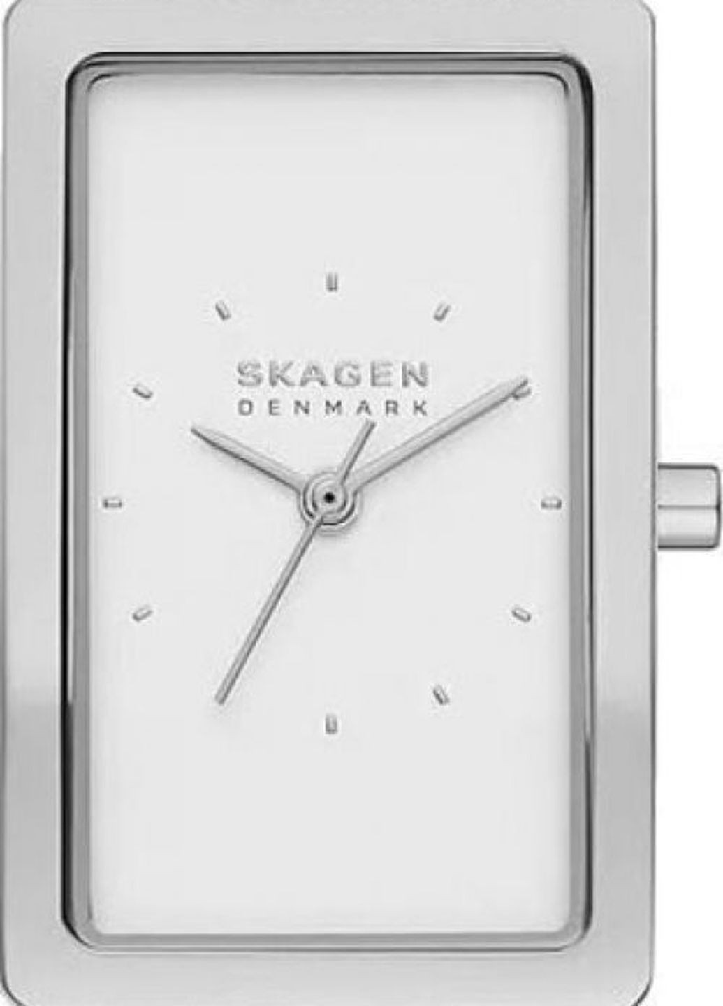 Годинник SKW3096 Skagen (275933948)
