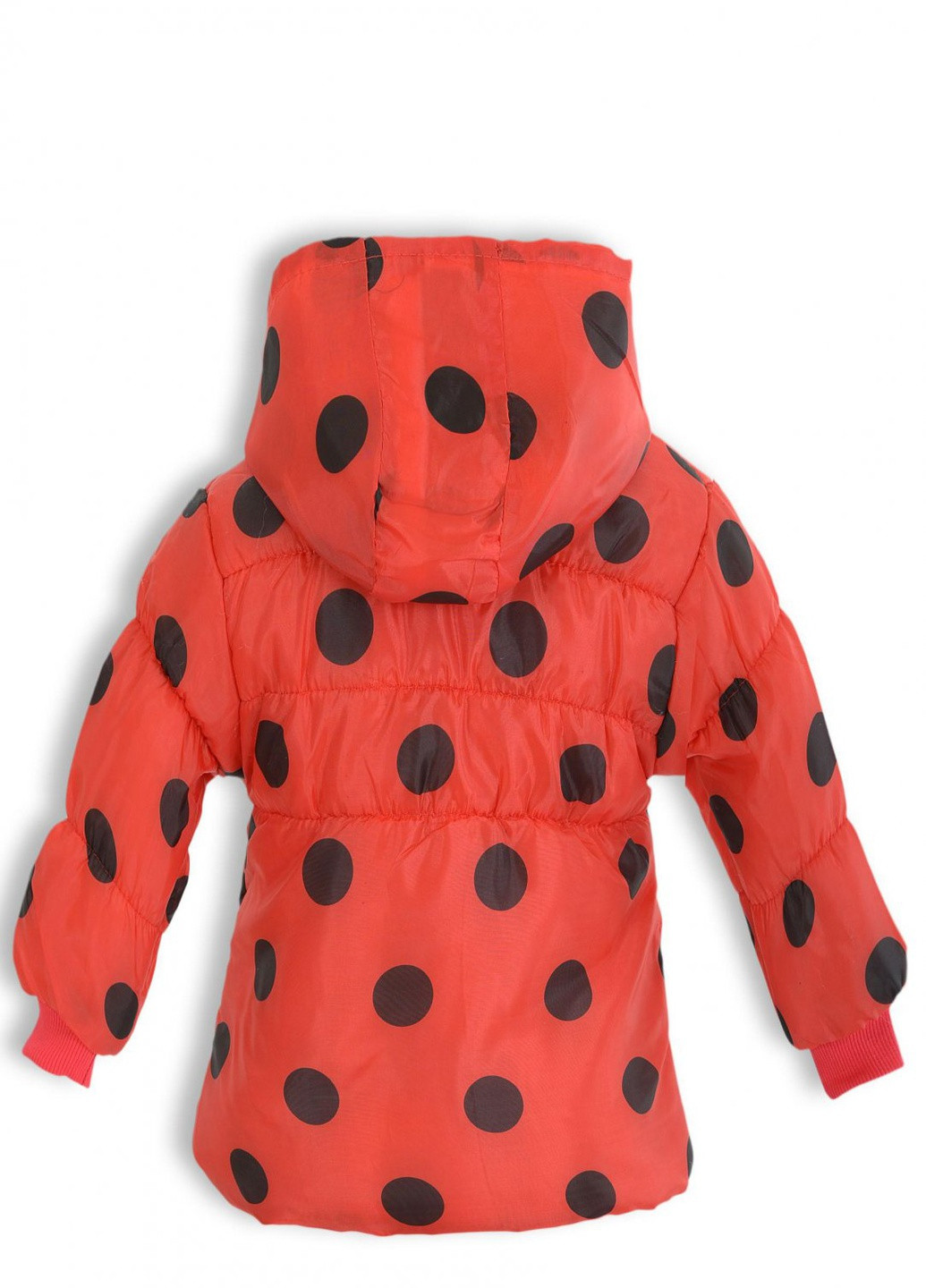 Красная верхній одяг куртка для дівчинки (sport) Lemanta