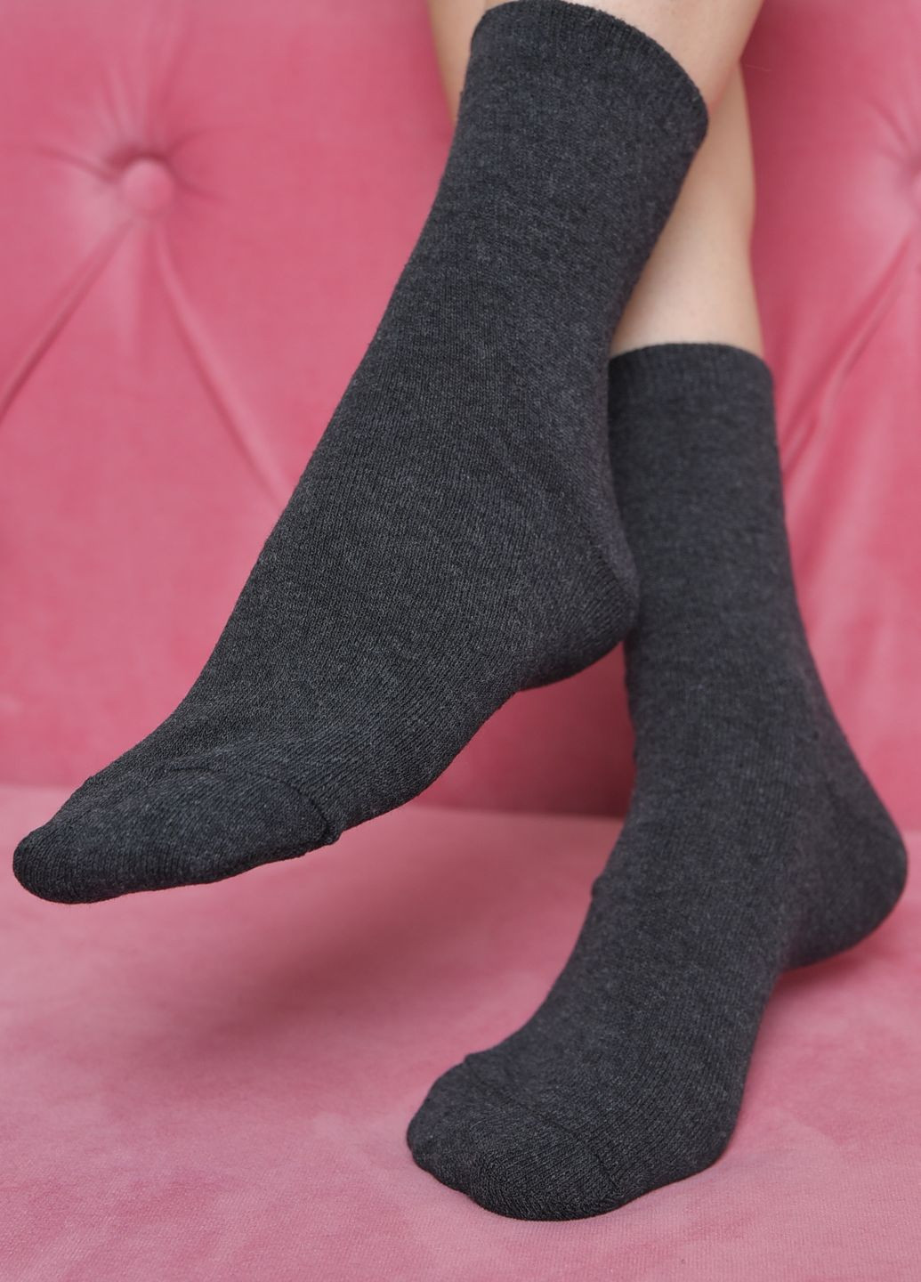 Шкарпетки жіночі демісезонні сірого кольору Let's Shop (273901362)