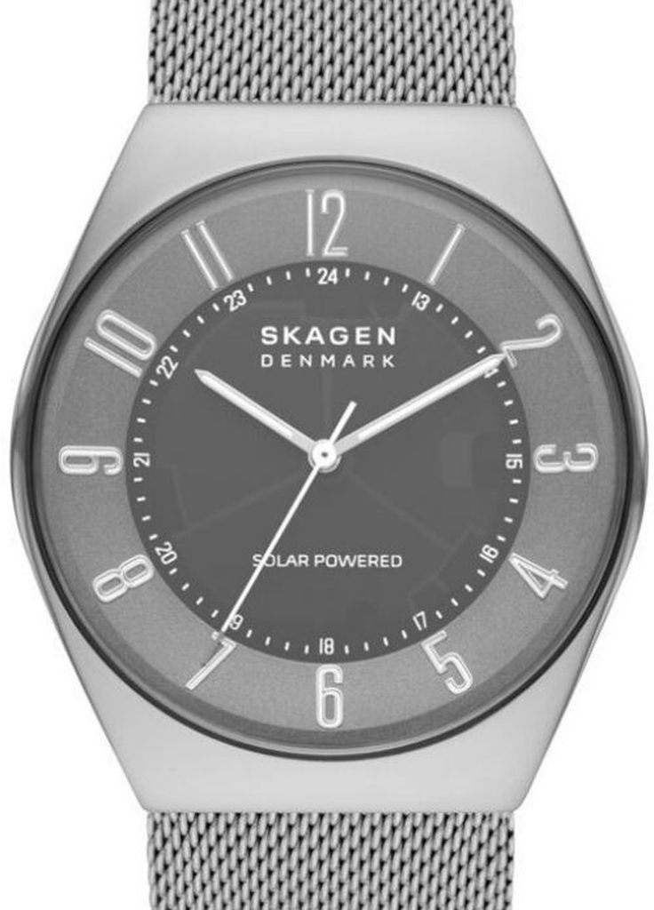 Часы SKW6836 кварцевые fashion Skagen (278017872)