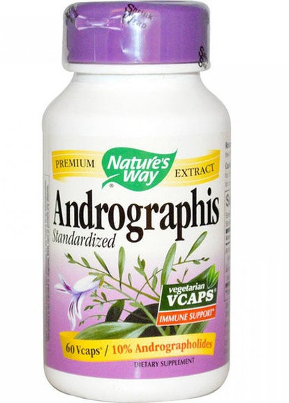 Andrographis Standardized 60 Veg Caps Nature's Way (256723876)