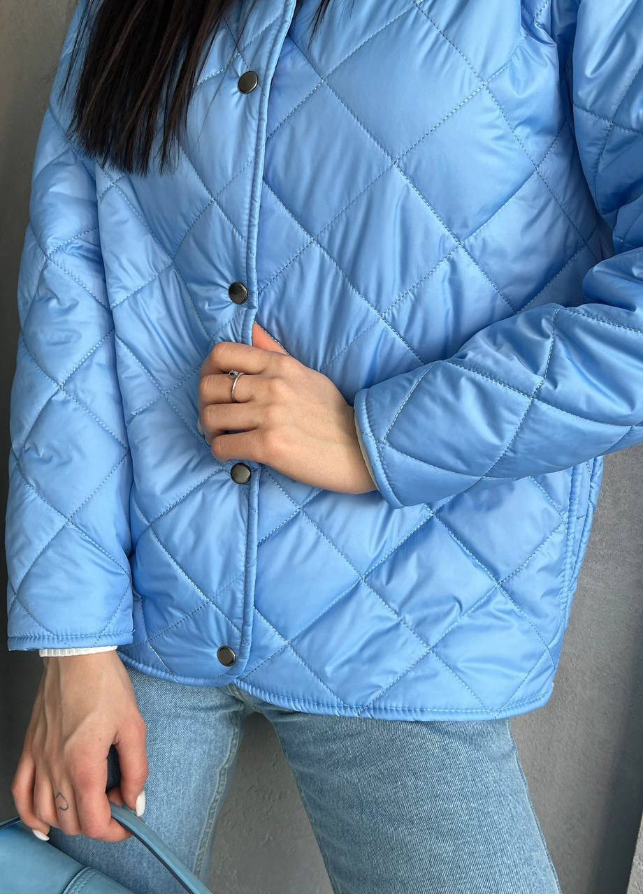 Блакитна демісезонна куртка Garna