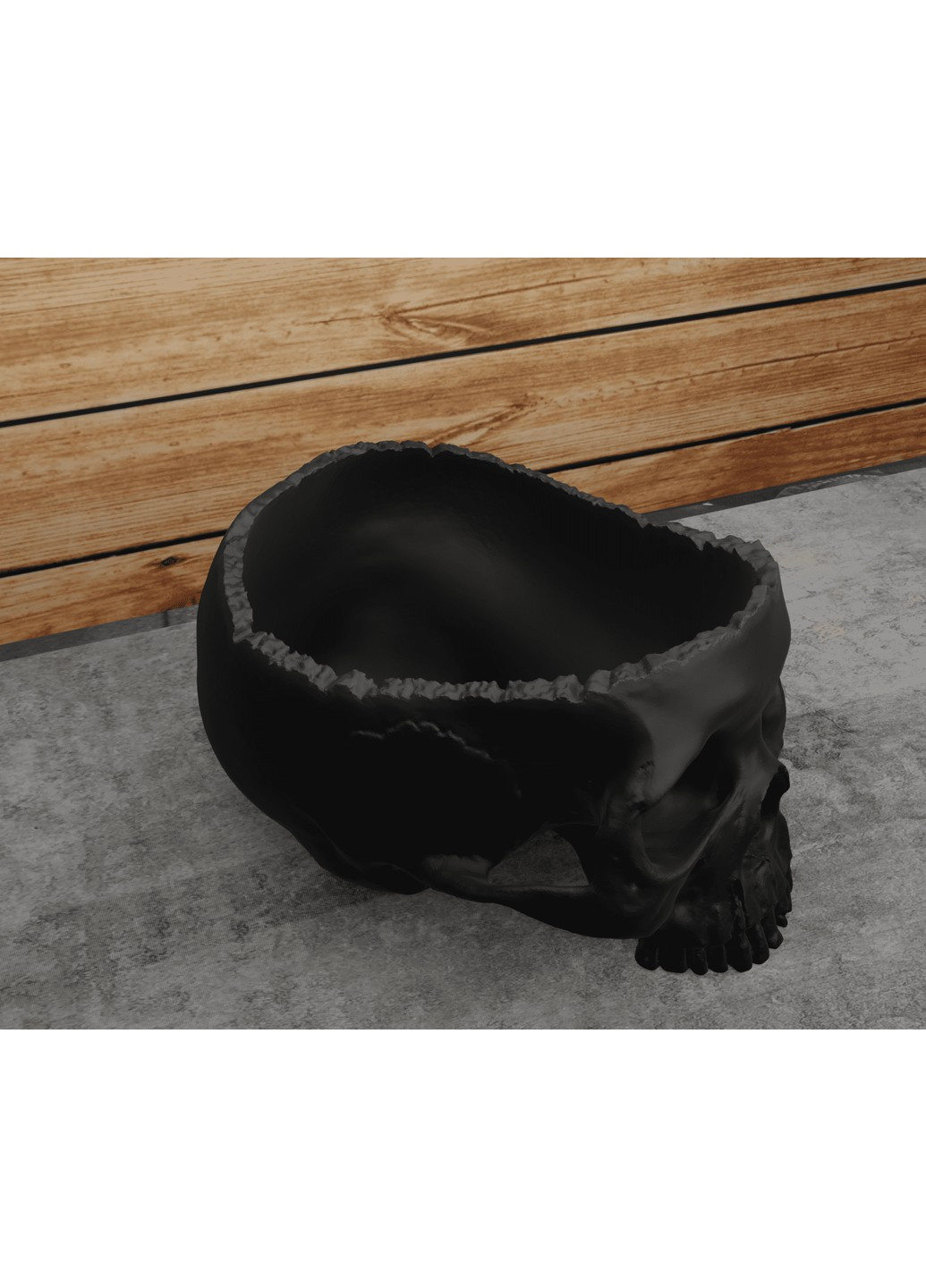 Відкритий череп. ЗаСвіт (266425032)