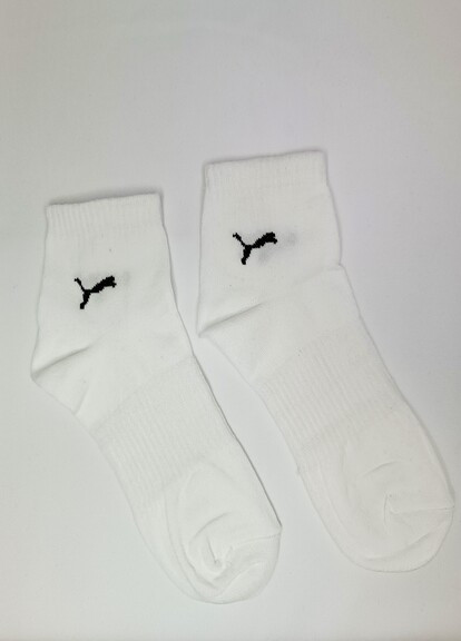 Короткі демісезонні білі спортивні шкарпетки No Brand (269696446)
