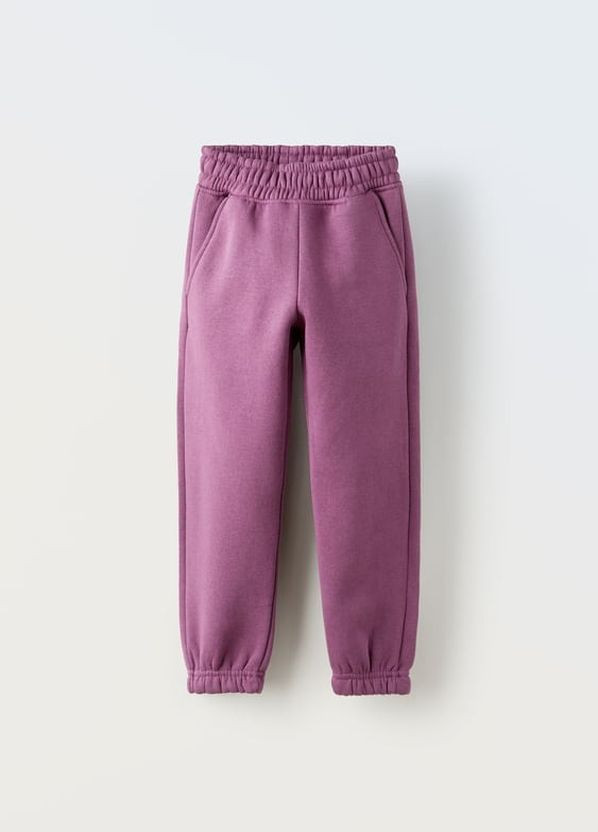 Фиолетовые повседневный зимние джоггеры брюки Zara