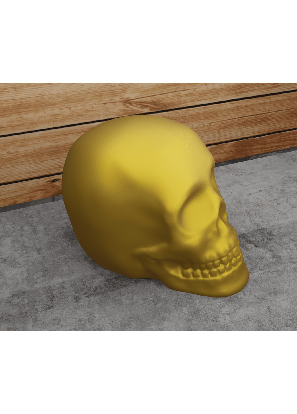 Череп класичний. ЗаСвіт (266425347)