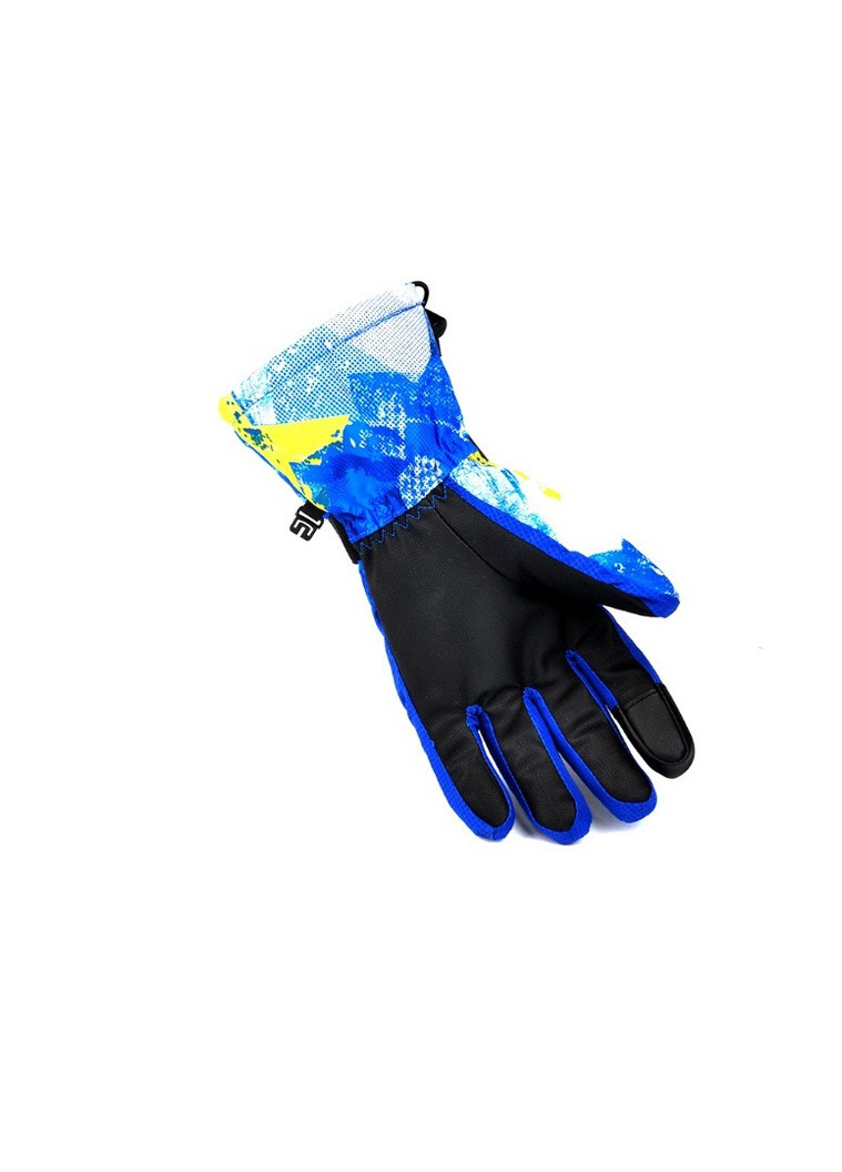 Перчатки лыжные с сенсорным покрытием (ЗП-1001-23), L No Brand тип 2 (256606361)