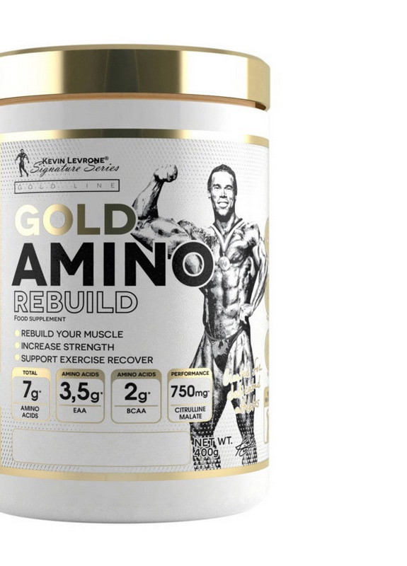 Комплекс аминокислот Gold Amino Rebuild 400 g (Orange) Kevin Levrone (259752937)