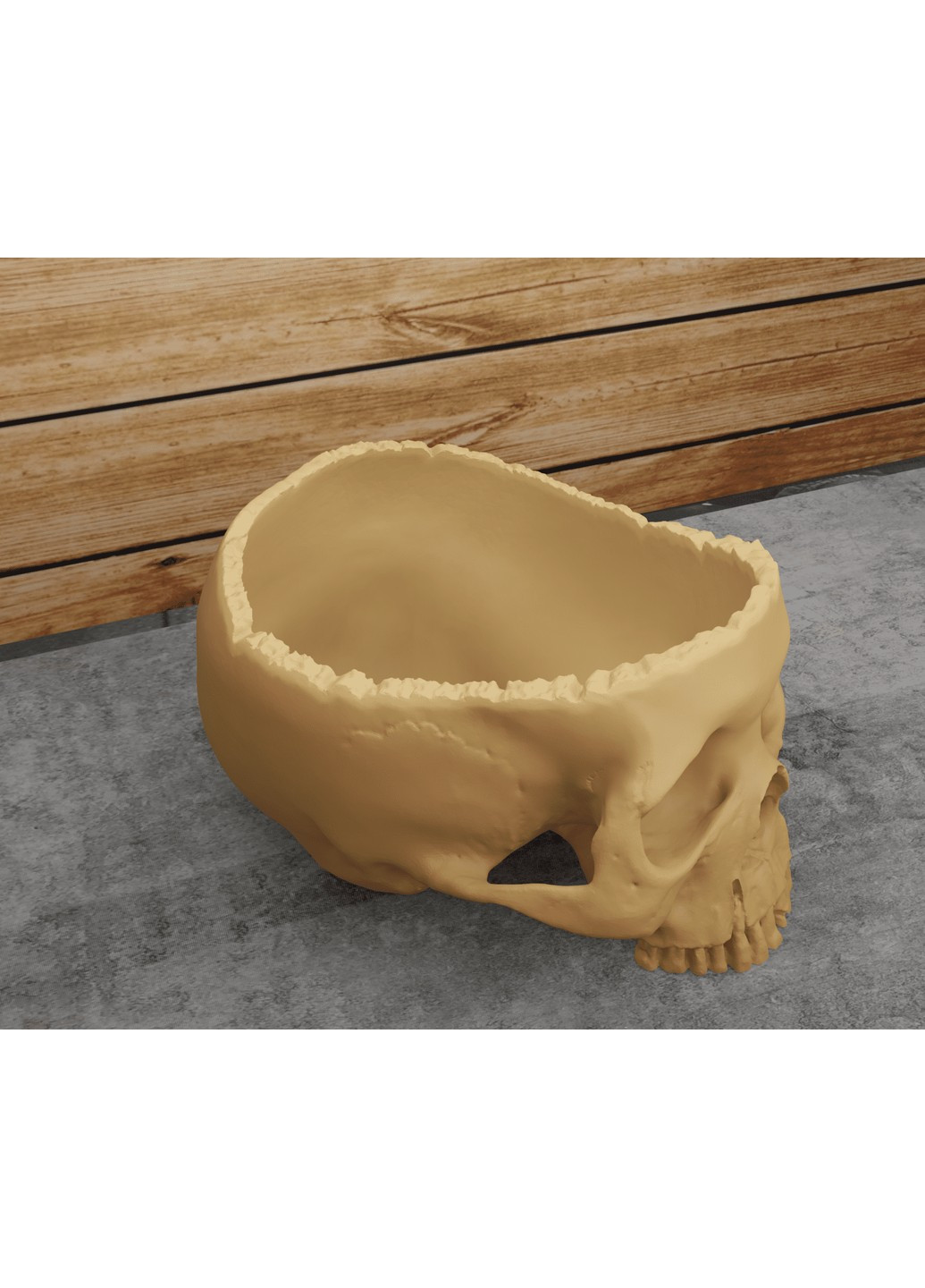 Відкритий череп. ЗаСвіт (266425266)