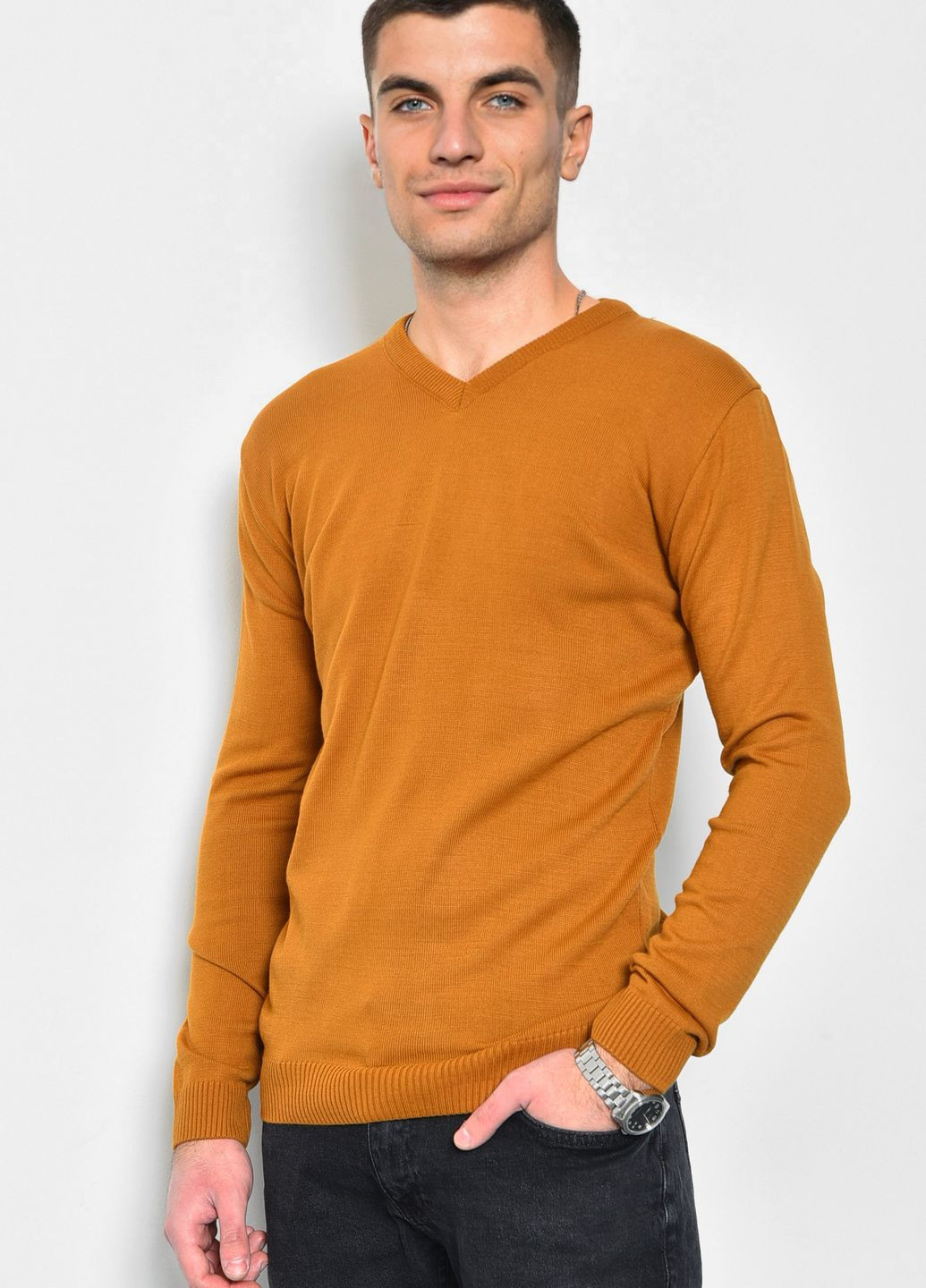 Коричневий демісезонний светр чоловічий напівбатальний коричневого кольору пуловер Let's Shop