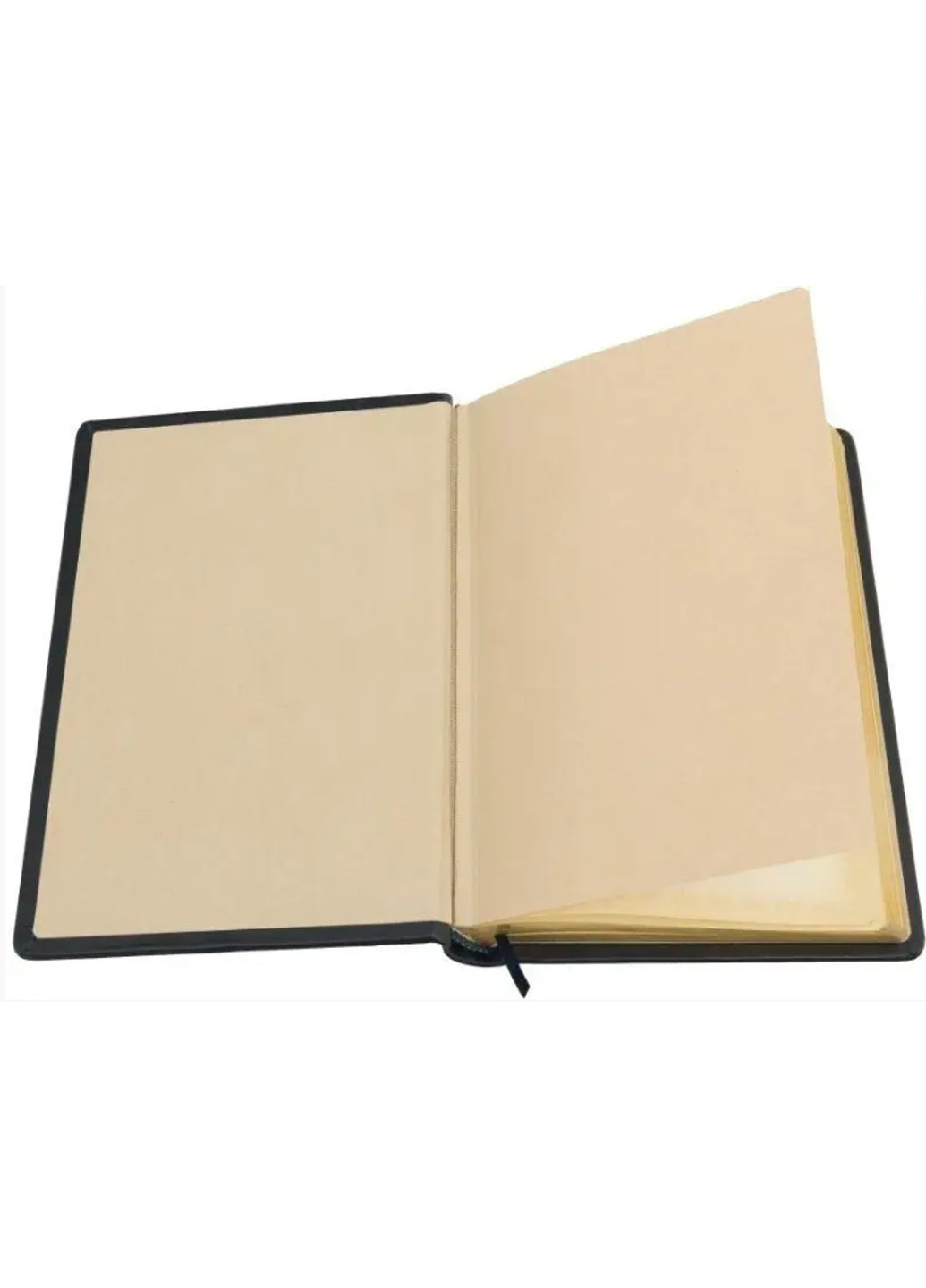 Блокнот-дневник Полиции премиум А5 No Brand (258260489)