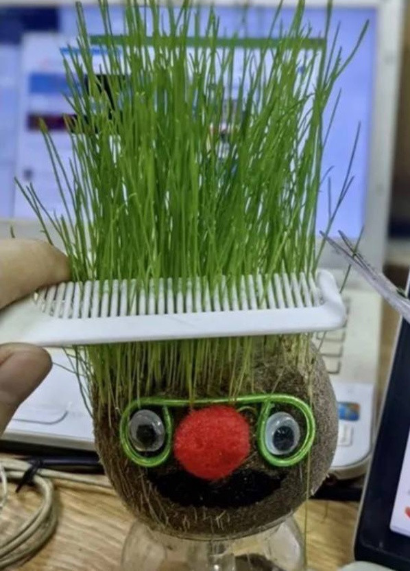Набір для вирощування Grow Grass man Трав'янчик екокуб GG01 UFT TGG01 (259213236)