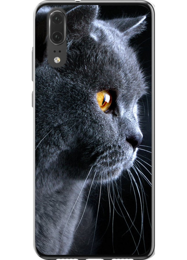 Силикон с усиленными углами чехол 'Красивый кот' для Endorphone Huawei P20 (258486538)