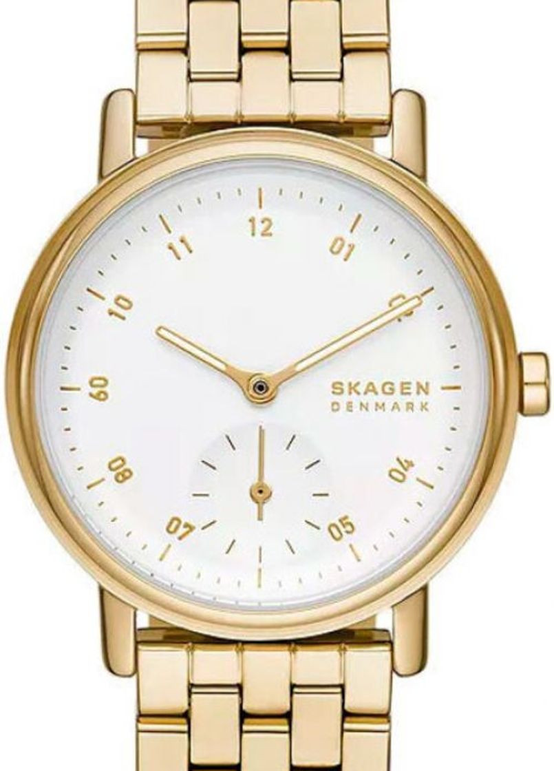 Часы SKW3102 кварцевые fashion Skagen (264743791)