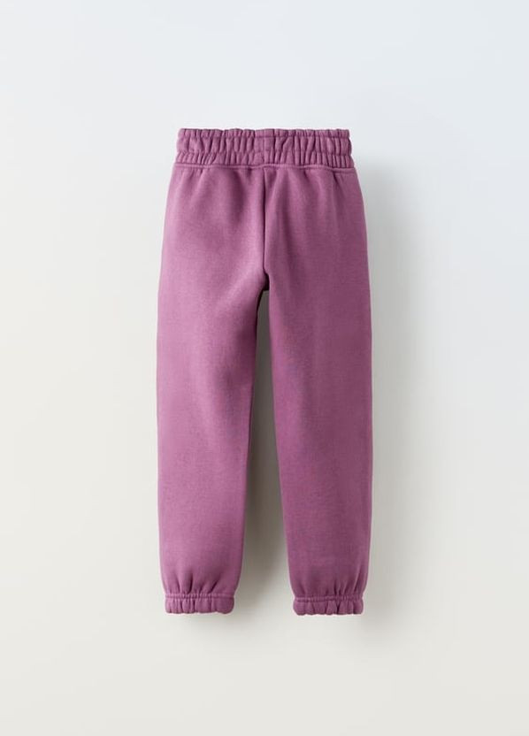 Фиолетовые повседневный зимние джоггеры брюки Zara