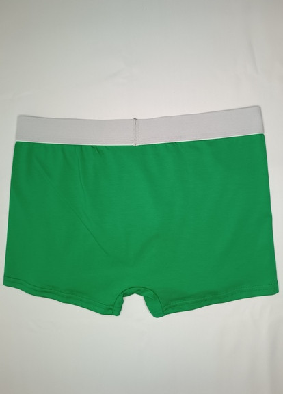 Модные зеленые мужские трусы боксеры с толстой резинкой No Brand (270368372)