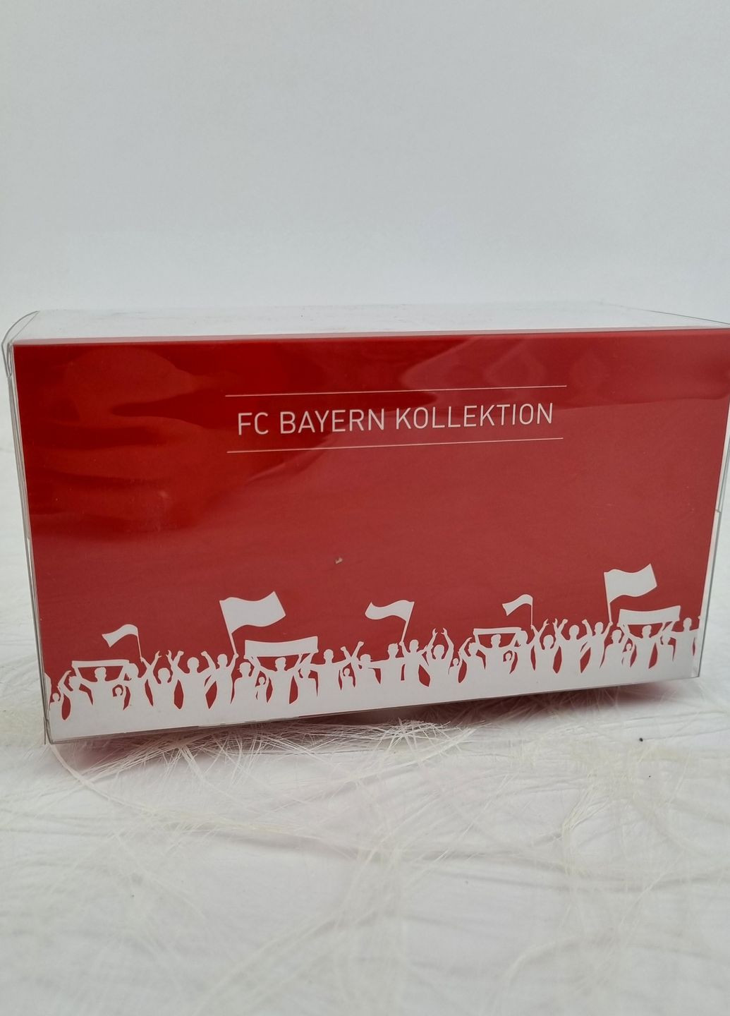 Горнолыжные очки FC Bayern Munchen (269112723)