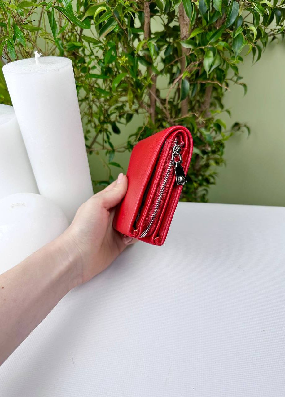 Жіночий невеликий однотонний гаманець на магниті Saralyn (268221989)