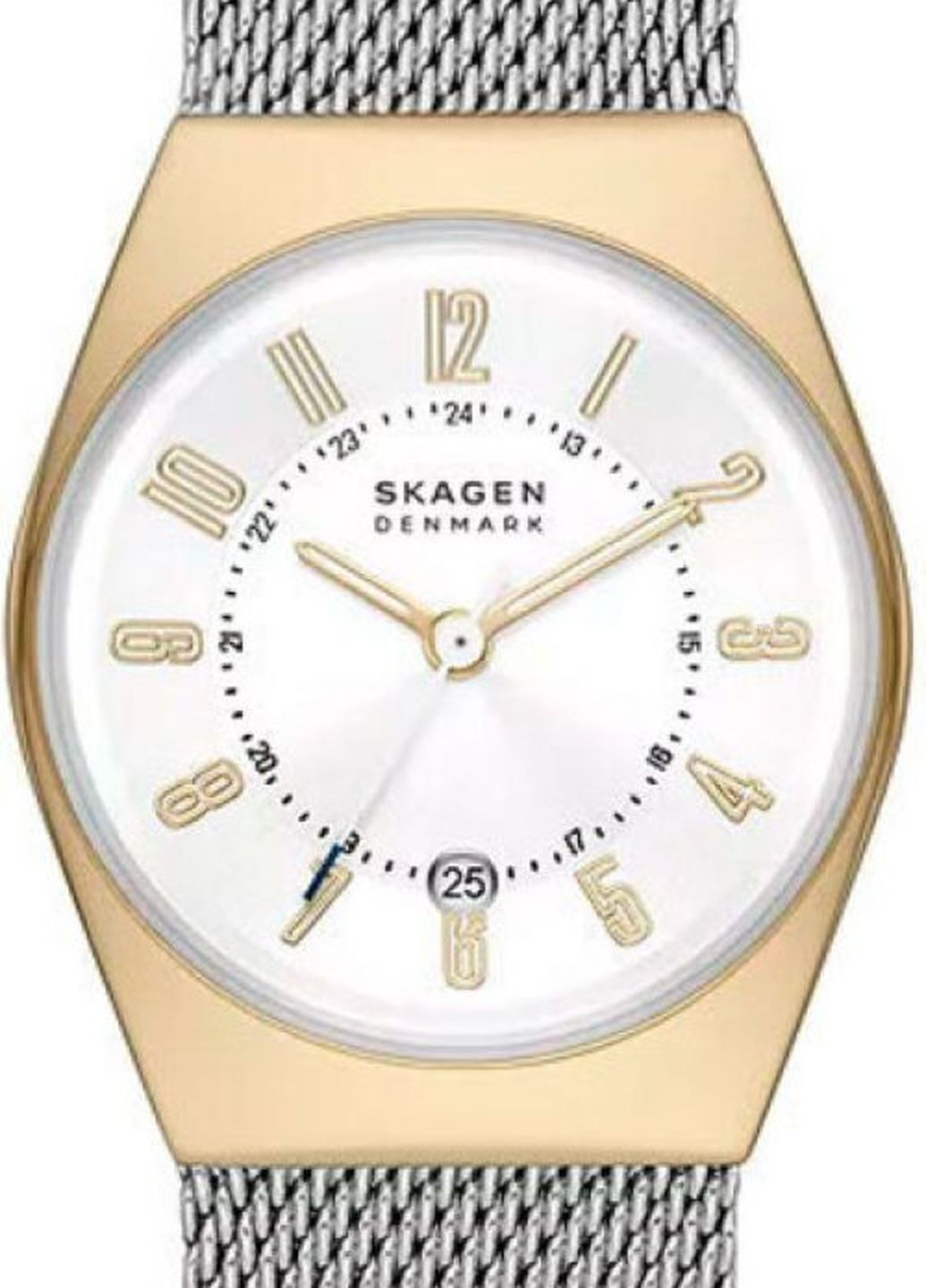 Часы SKW3051 кварцевые fashion Skagen (264743796)