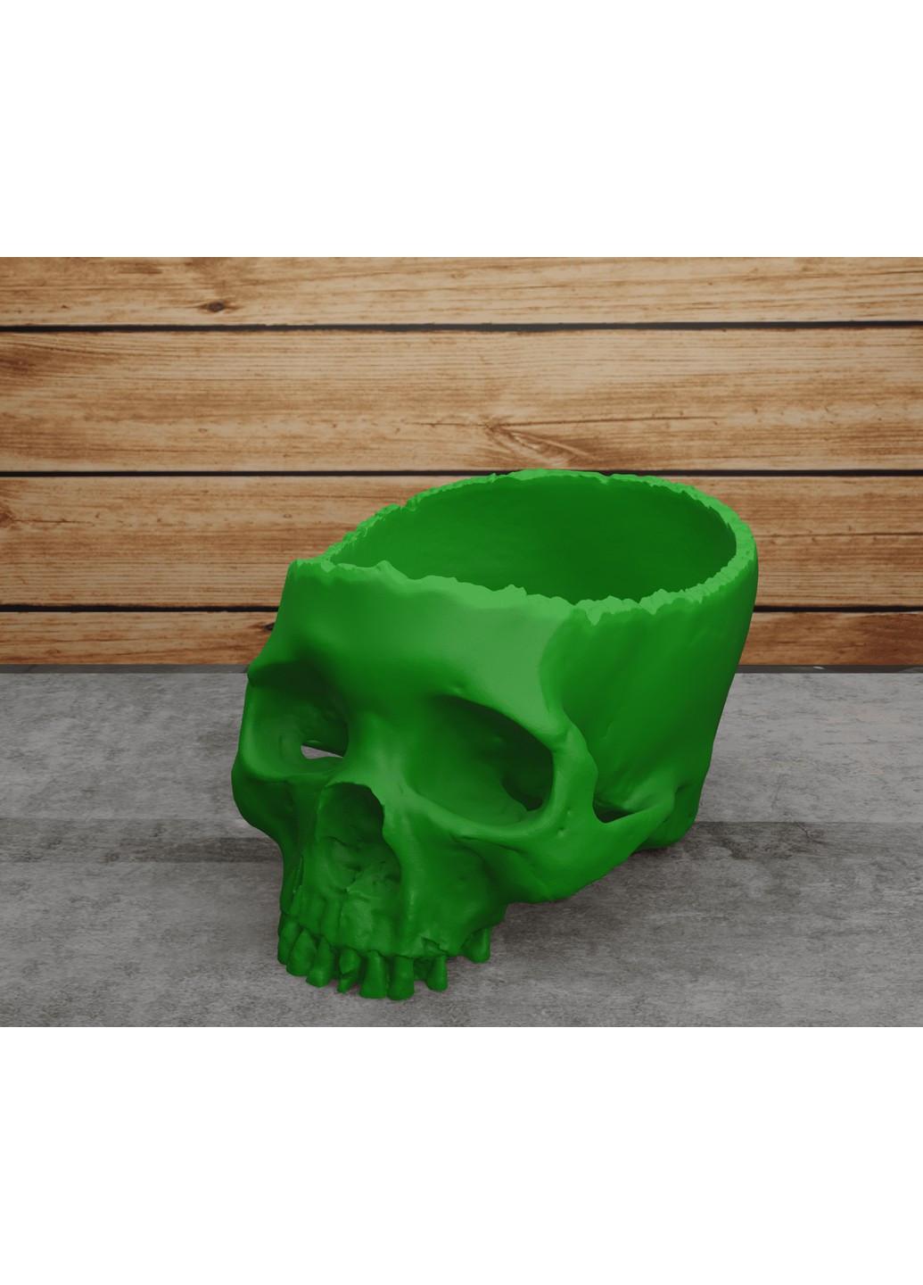 Відкритий череп. ЗаСвіт (266425238)