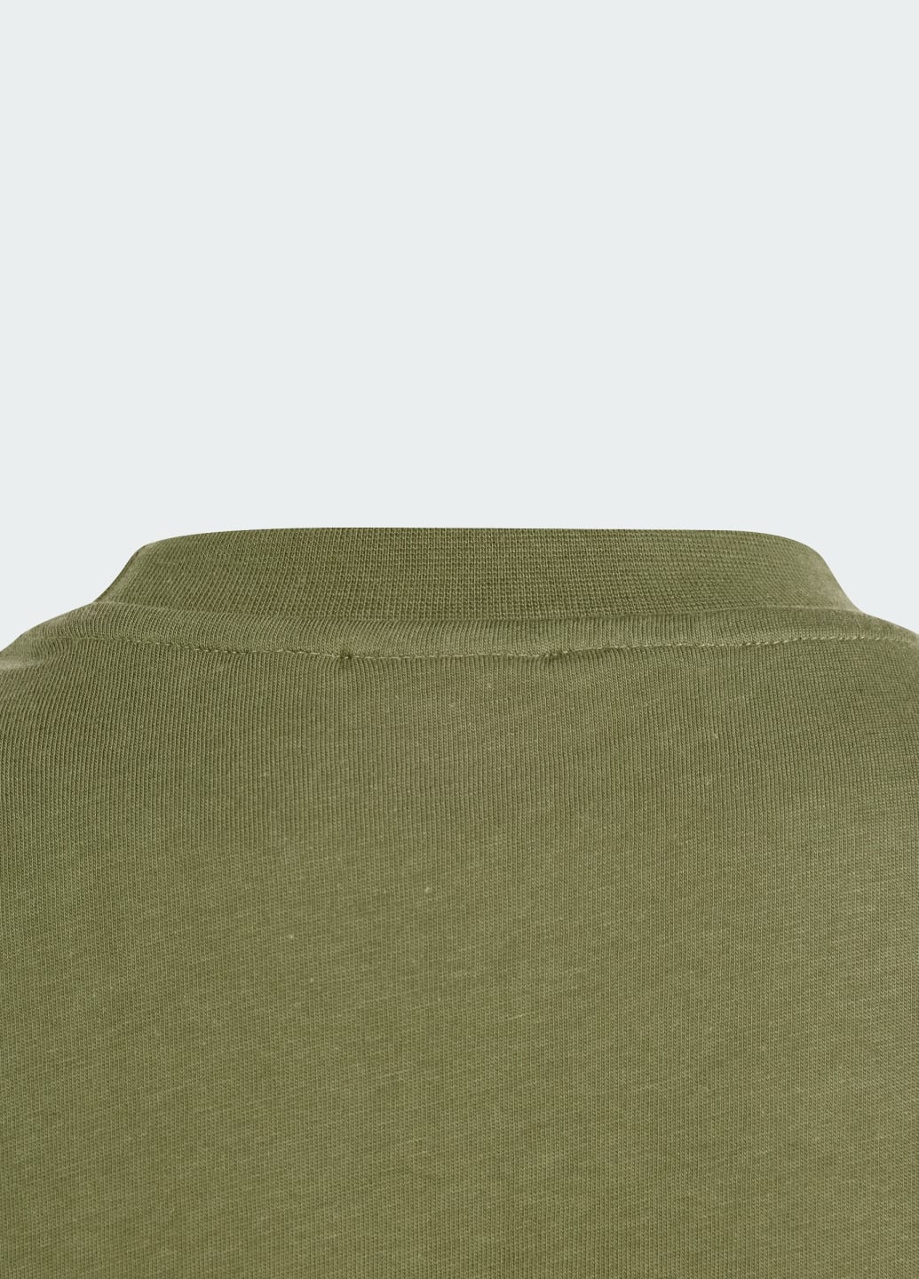 Зеленая демисезонная лонгслив graphic adidas