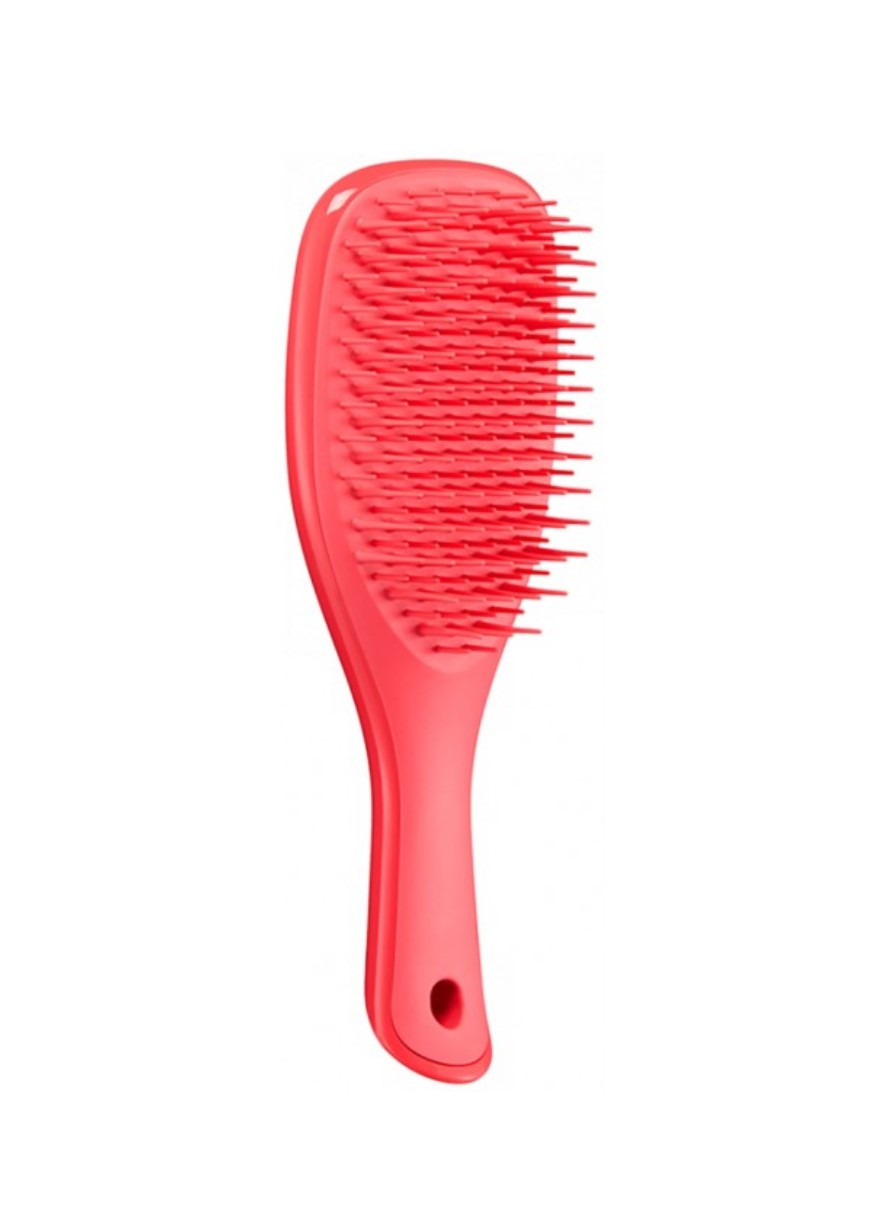 Щетка для волос Pink Punch Tangle Teezer the wet detangler mini (267729424)