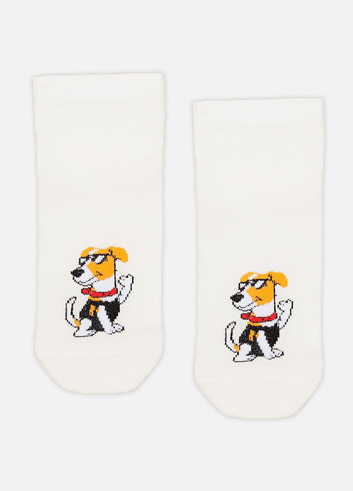 Жіночі шкарпетки колір молочний ЦБ-00214922 Yuki (259422250)