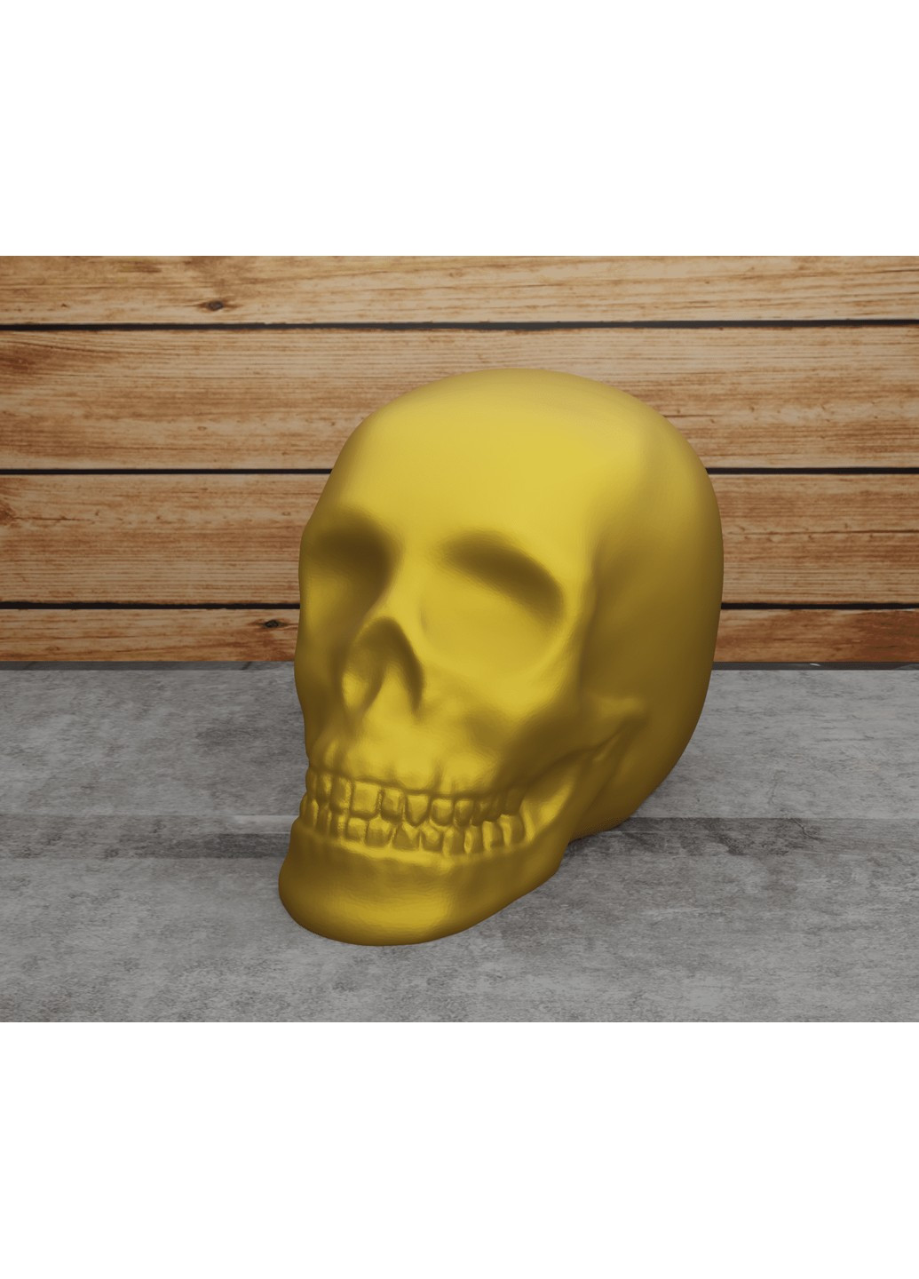 Череп класичний. ЗаСвіт (266425347)