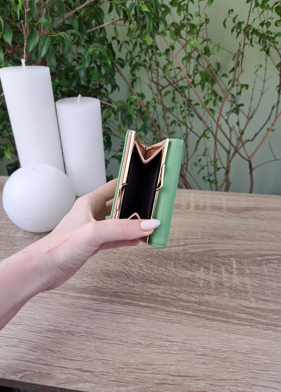 Кошелёк женский маленький на кнопке Tailian (258629291)