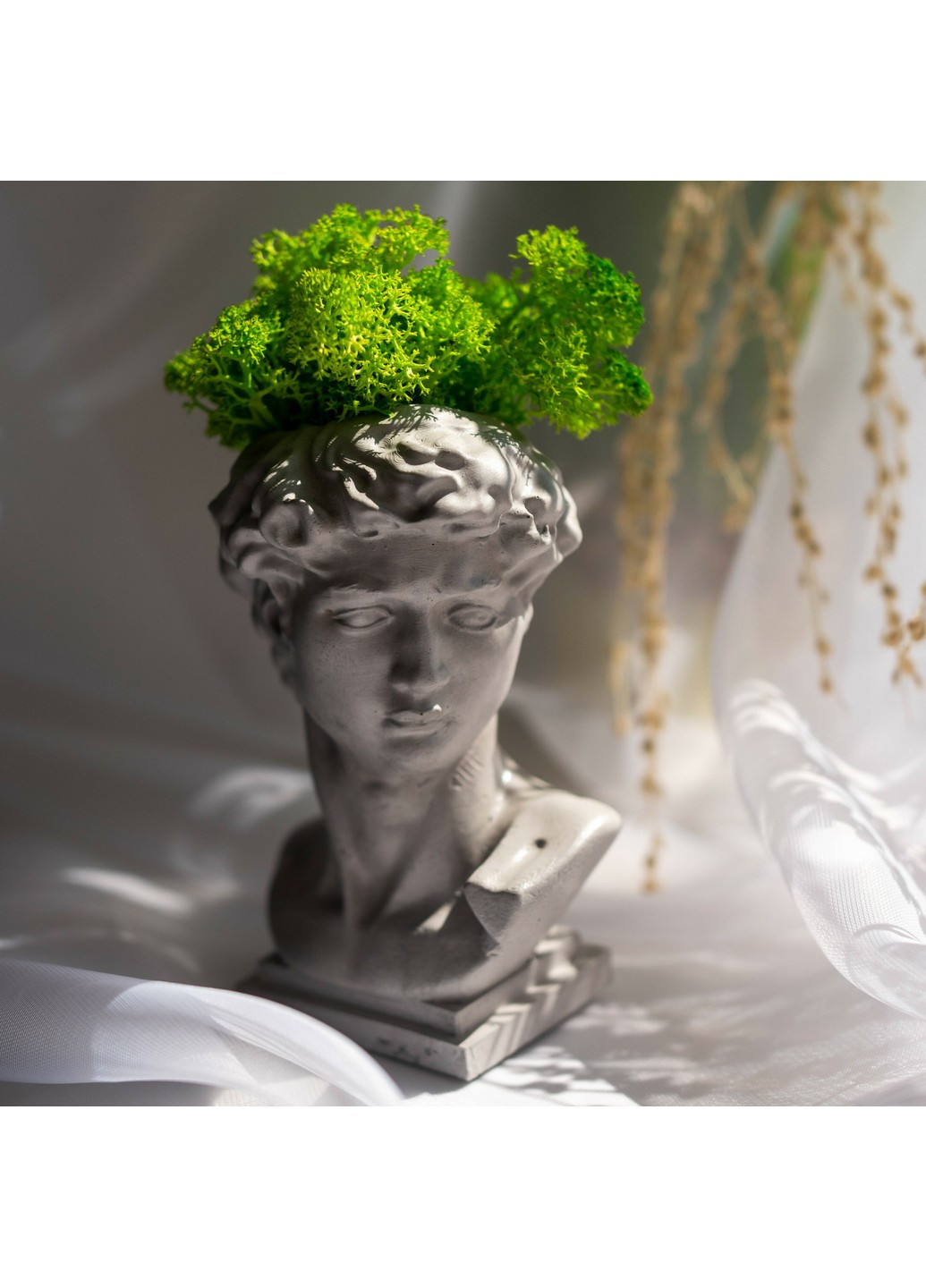 Кашпо Давид з світло-зеленим мохом, сірий Trensi (258330523)