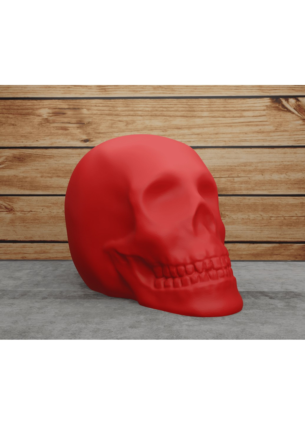 Череп классический. ЗаСвіт (266425490)