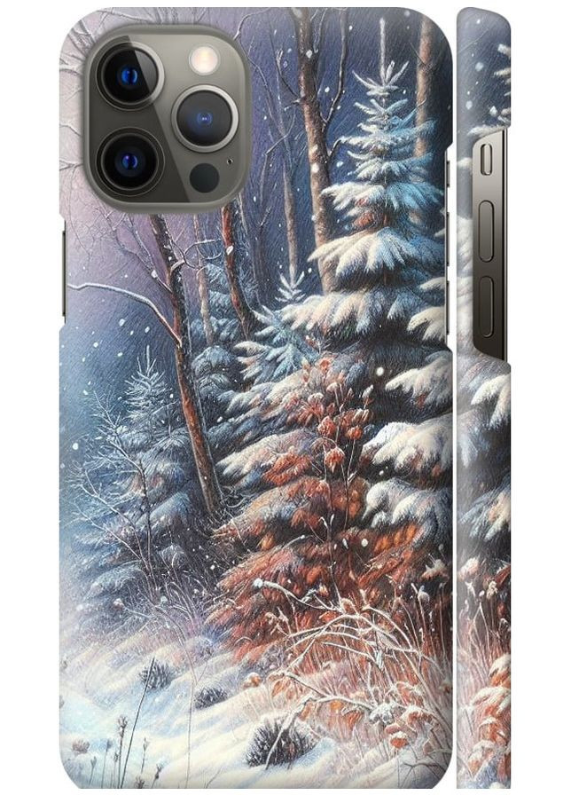 3D пластиковый матовый чехол 'Зимний пейзаж' для Endorphone Apple iPhone 12 Pro Max (275459574)