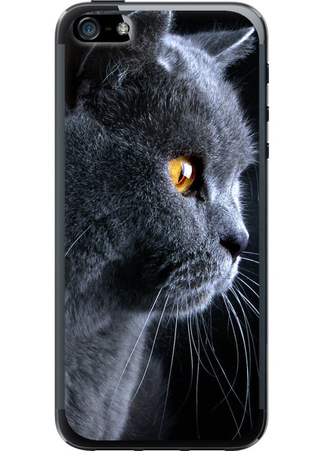 Силикон с усиленными углами чехол 'Красивый кот' для Endorphone apple iphone 5 (258486094)