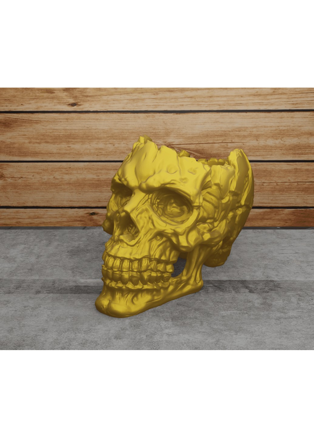 Рельєфний череп. ЗаСвіт (266425043)