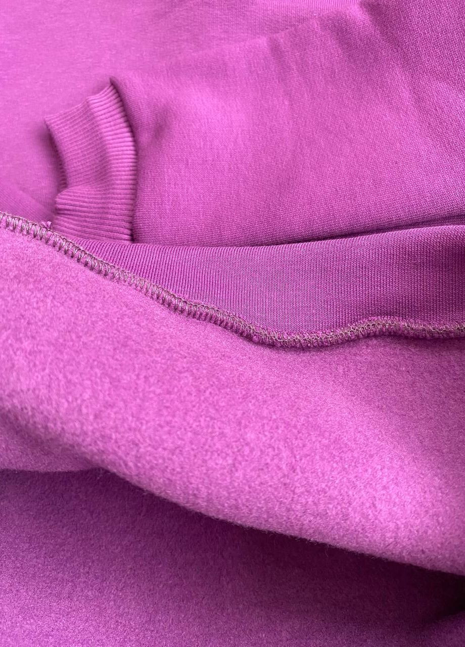 Спортивний костюм тринитка з начісом Три феї (261855475)