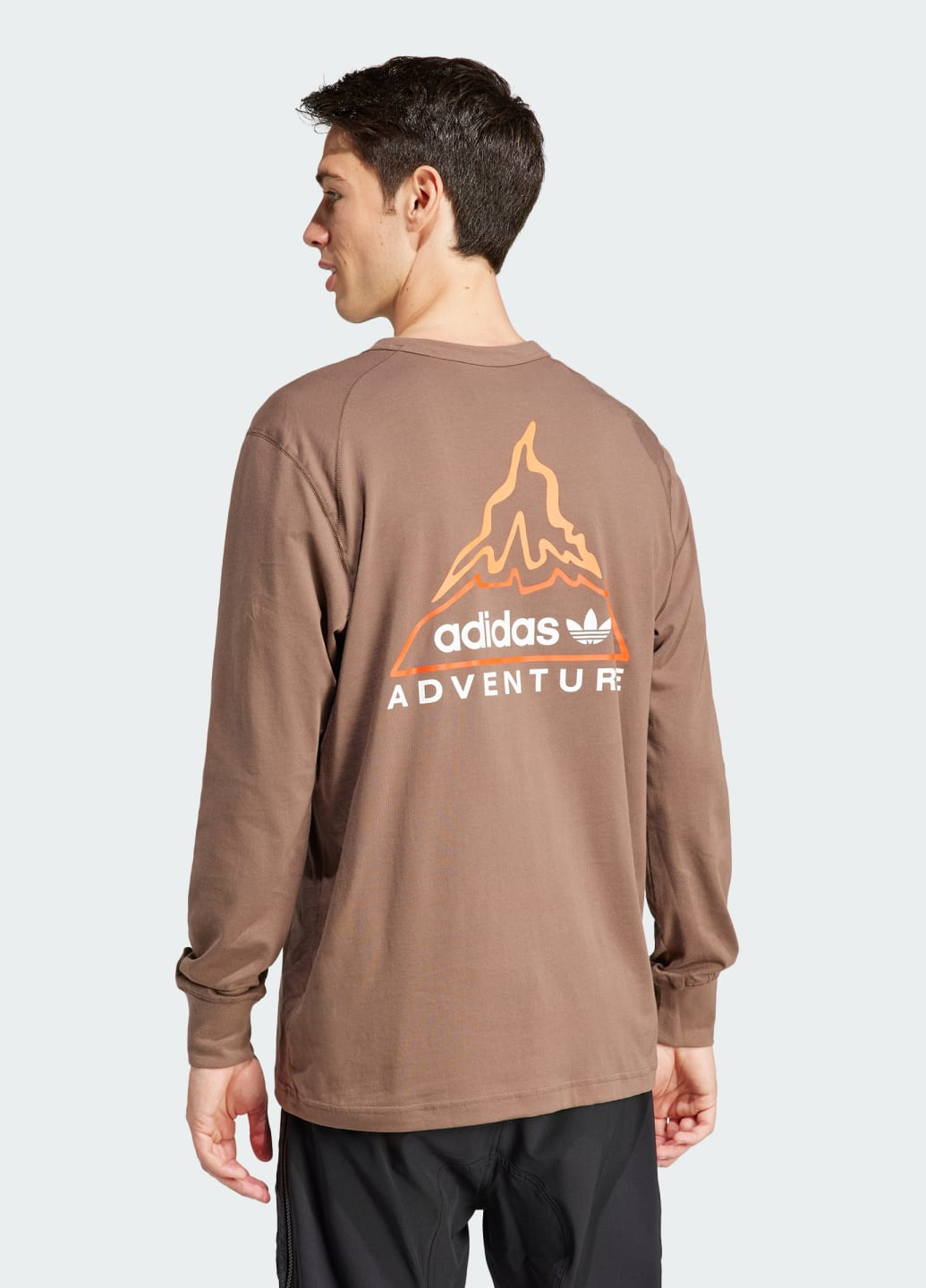 Лонгслів Adventure Graphic adidas логотип коричневий спортивні